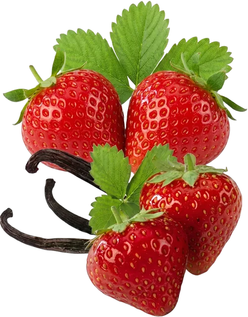 Fraises & vanille